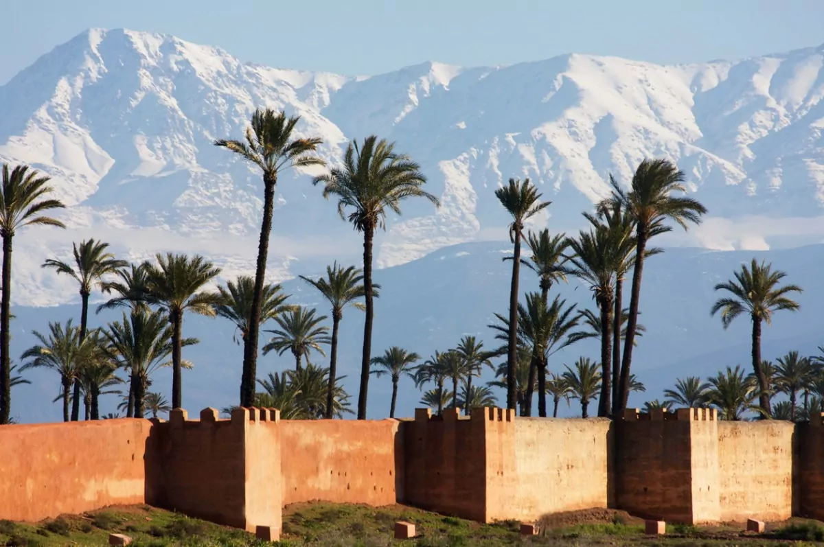 Paisagem de Marrakesh, em Marrocos, com construções e palmeiras, e cordilheira atrás, coberta de neve.