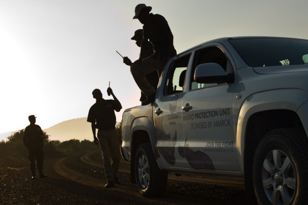 equipe de safari noturno