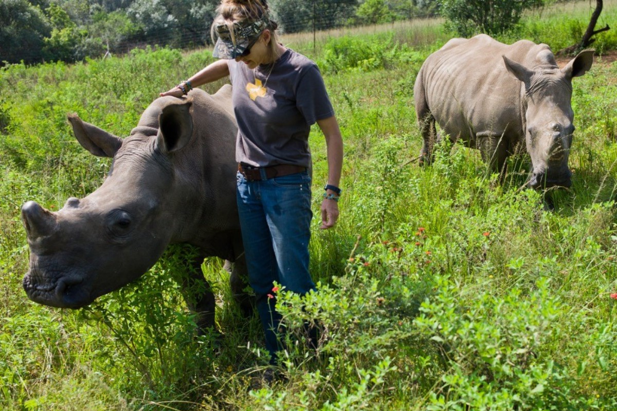 rinoceronte sendo acariciado por mulher na savana africana