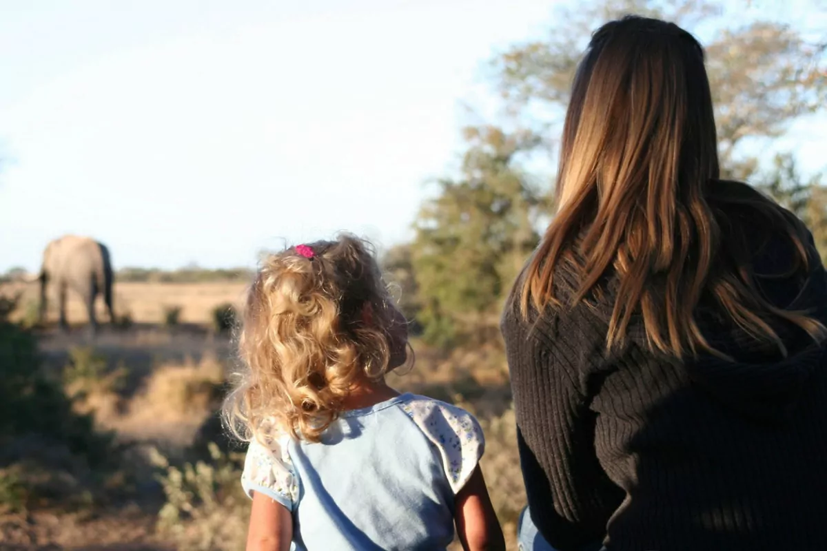 Safári com Criança: Madikwe 