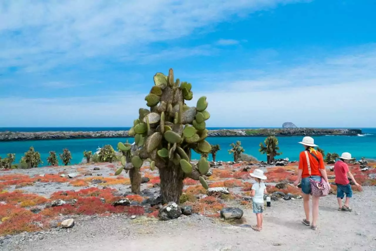 Viagem com crianças para Galápagos