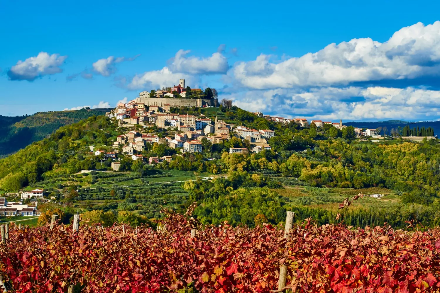 Lua de mel na Croácia — Motovun