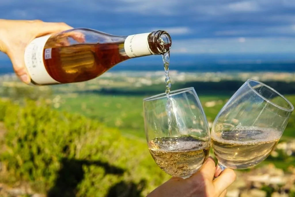 Nova Zelândia — veja onde encontrar os melhores vinhos da região