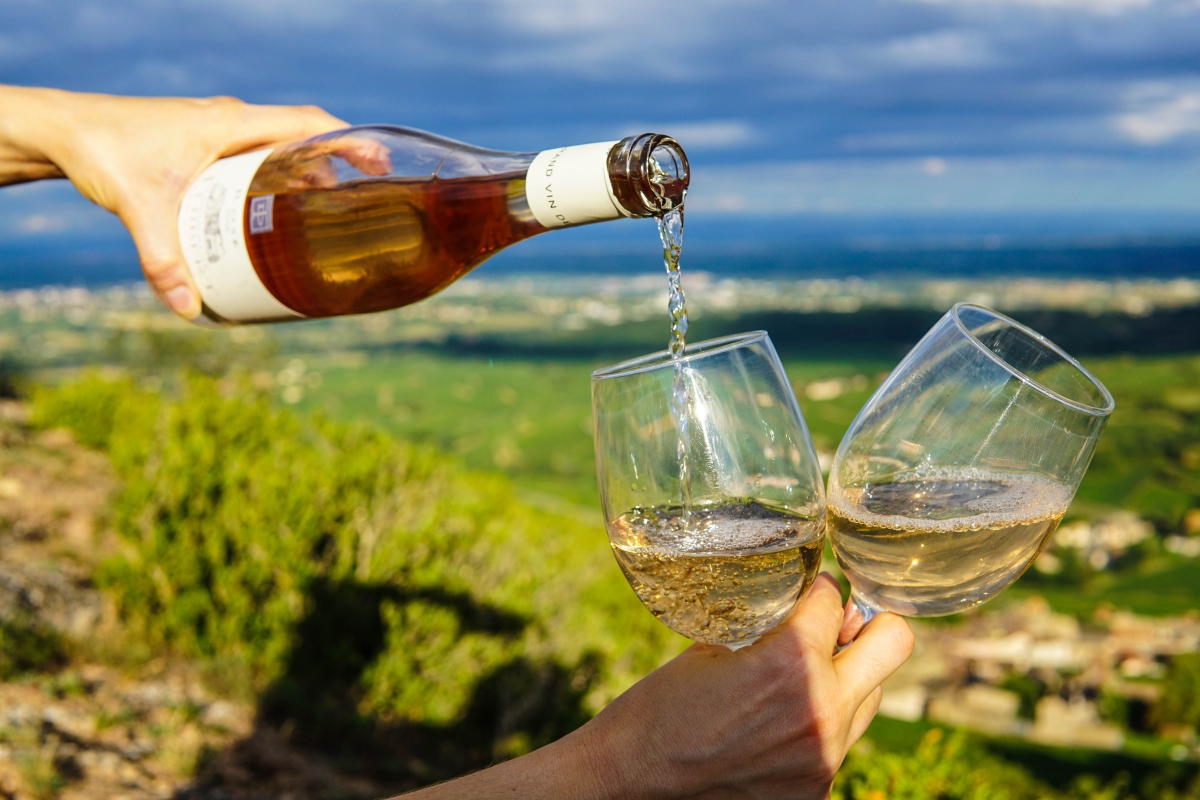 conheça os melhores vinhos populares da Nova Zelândia