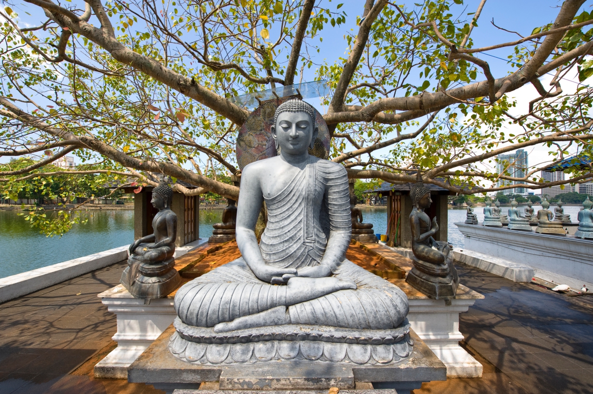 visitar Sri Lanka: Buda e templos