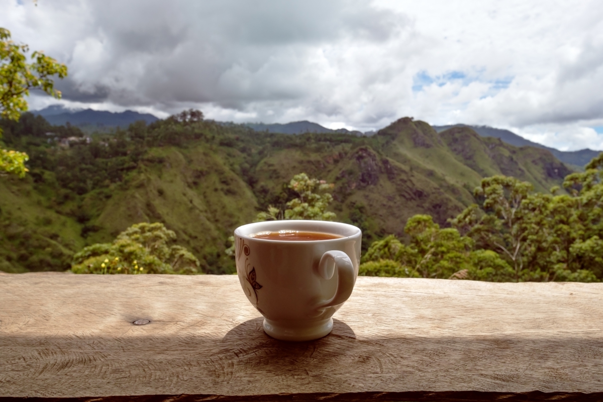 visitar Sri Lanka: o melhor chá