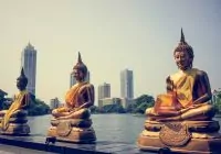 Visitar Sri Lanka: motivos para conhecer o país