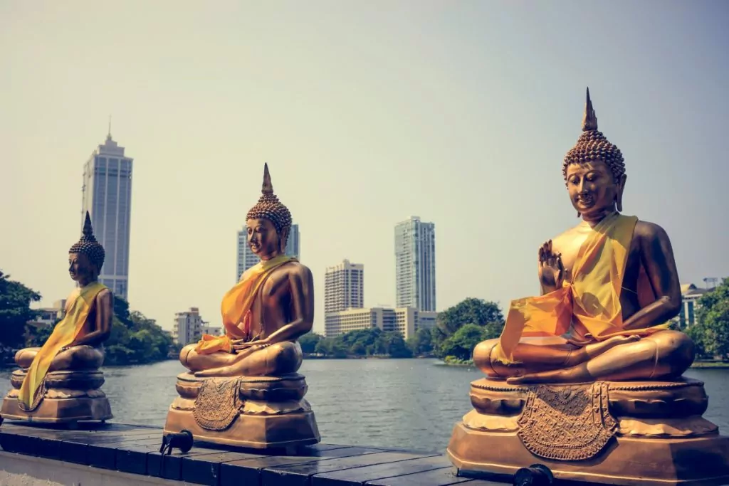 Visitar Sri Lanka: 10 motivos (fora da caixa) para você conhecer o país