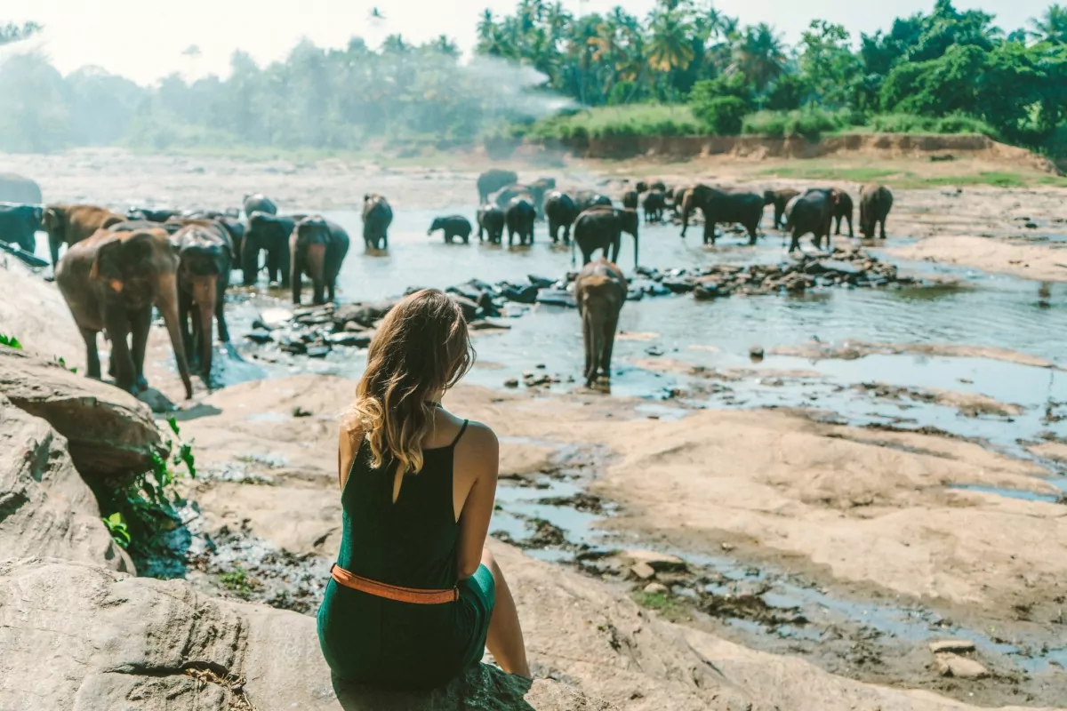visitar Sri Lanka: conheça diversos animais