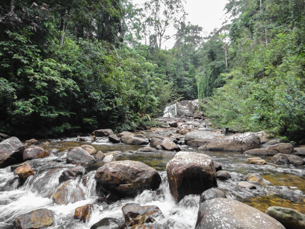 visitar Sri Lanka: florestas e cachoeiras