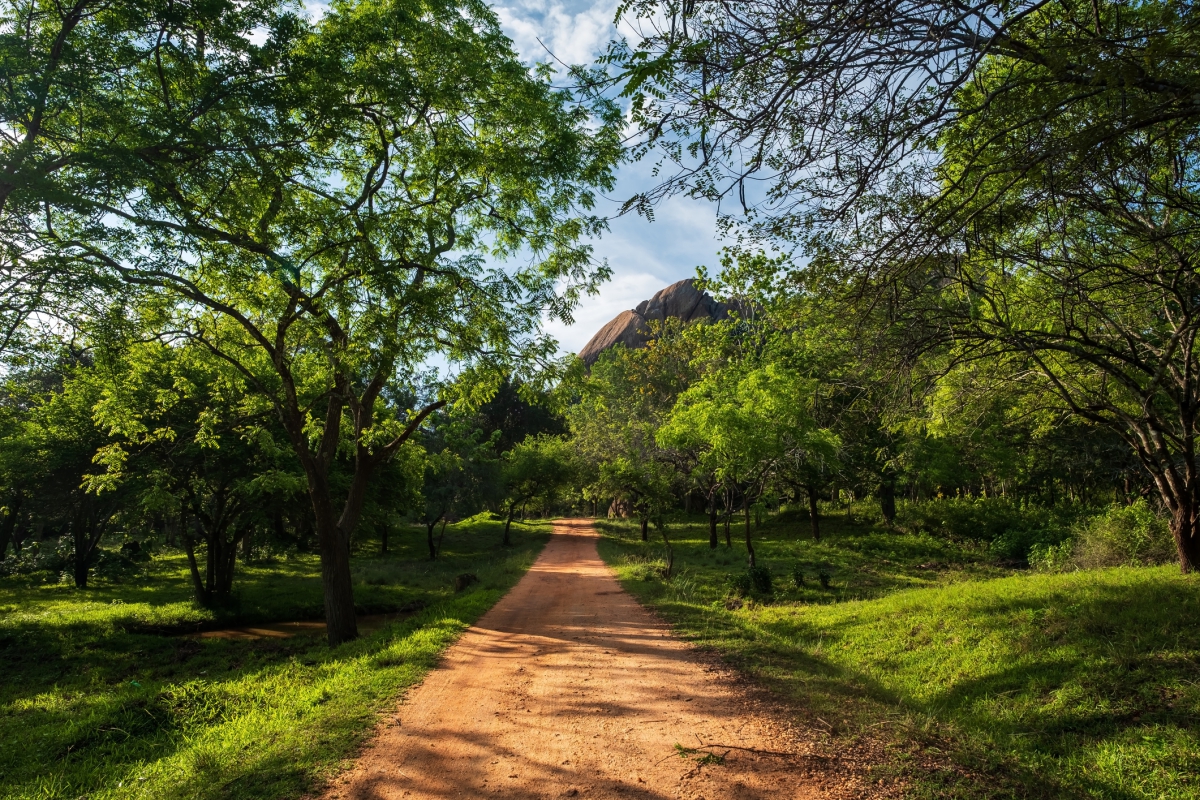 visitar Sri Lanka: trilhas