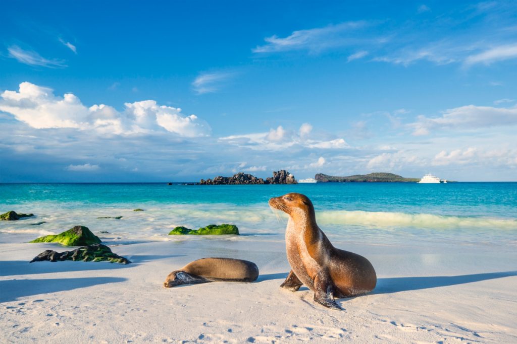 lugares para viajar com bebê - galápagos