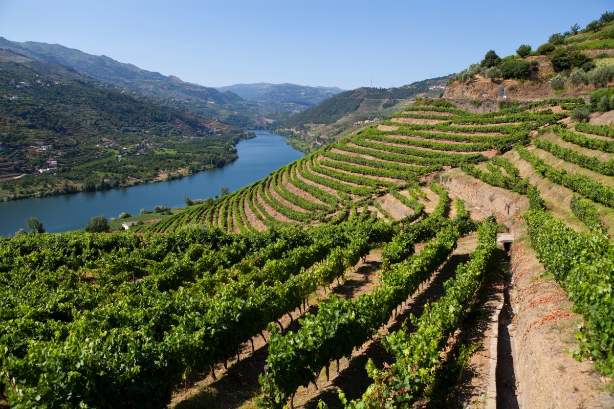 Portugal e os melhores vinhos portugueses