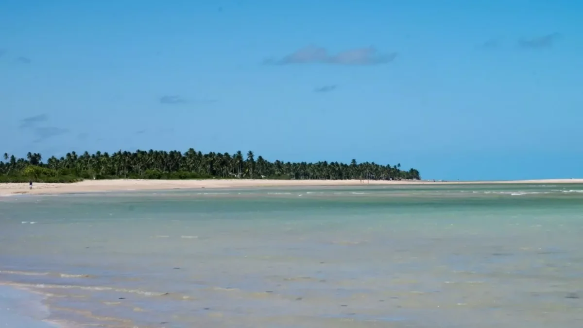 praias-brasileiras-sao-miguel-dos-milagres