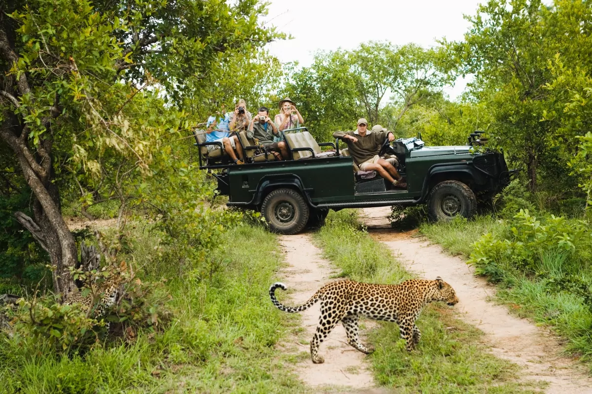lugares para conhecer na áfrica do sul: Parque Nacional Kruger