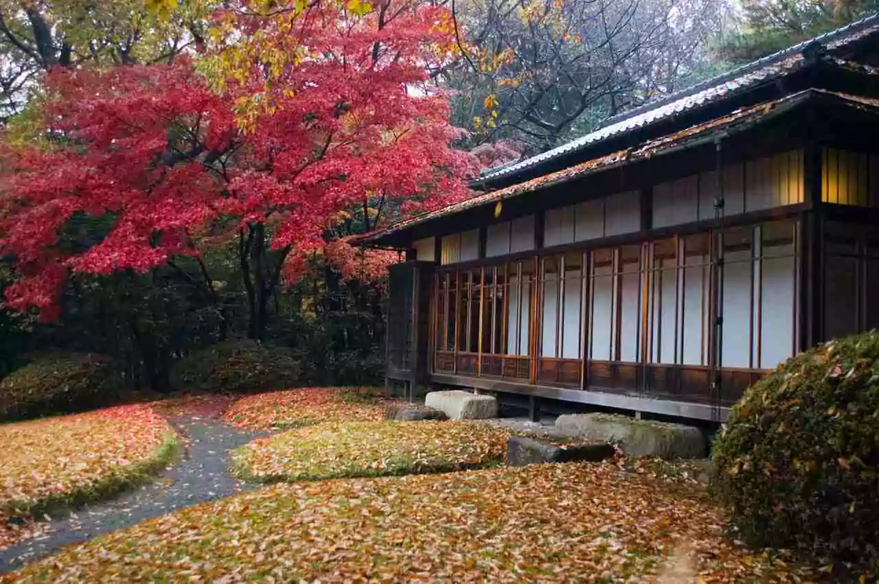 Templos Japoneses — Descubra Quais São os Mais Famosos