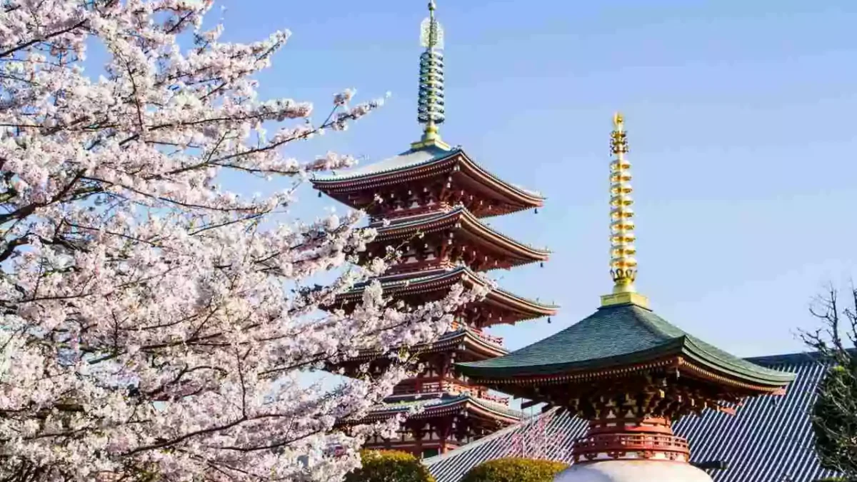 templos-japoneses-cerejeira