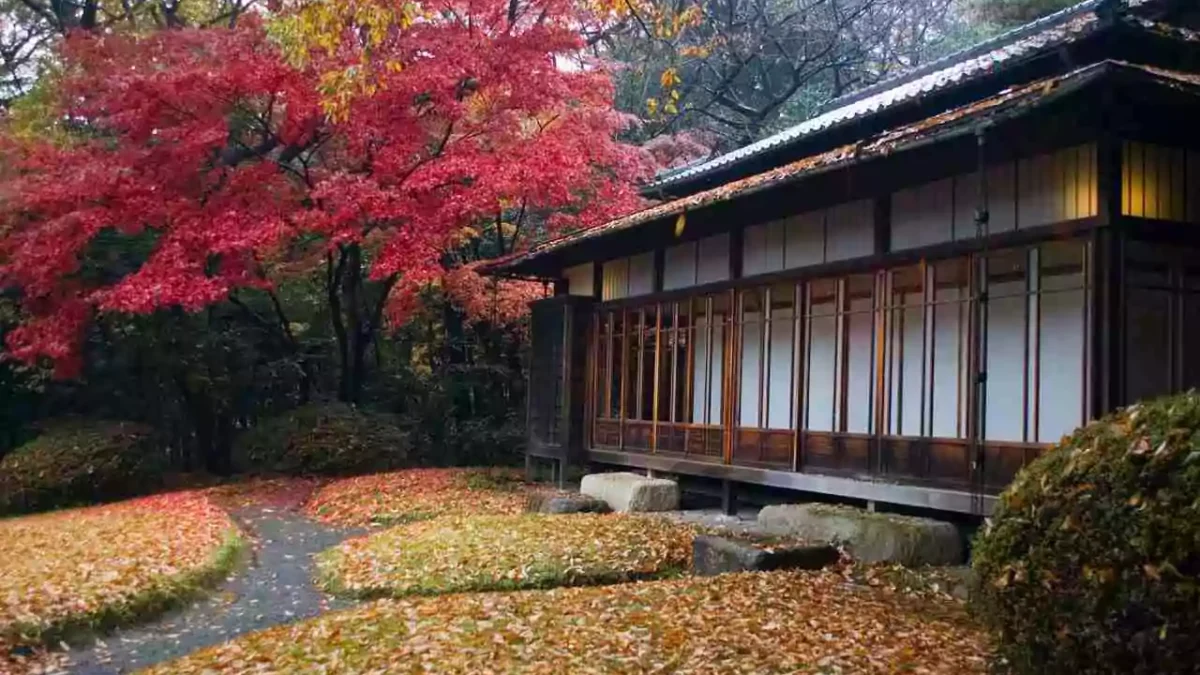 templos-japoneses-meiji-jingu-japao
