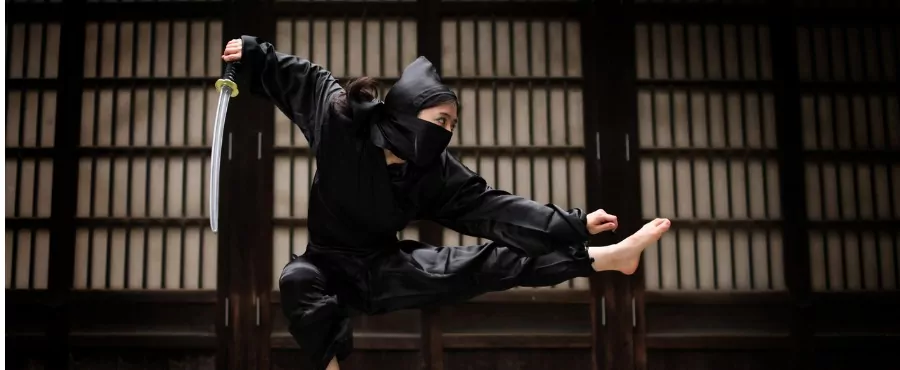 japao-ninja