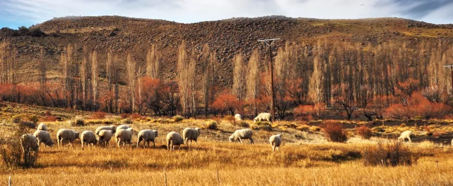 roteiros-de-viagens-para-a-patagonia-estancia