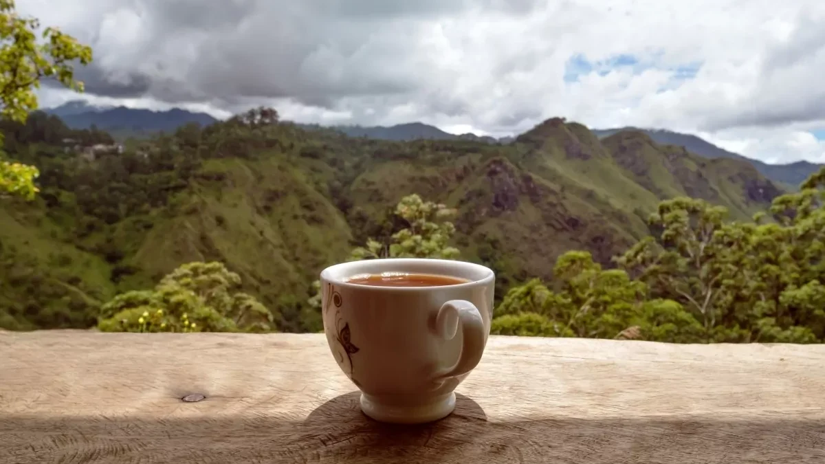 sri-lanka-cha