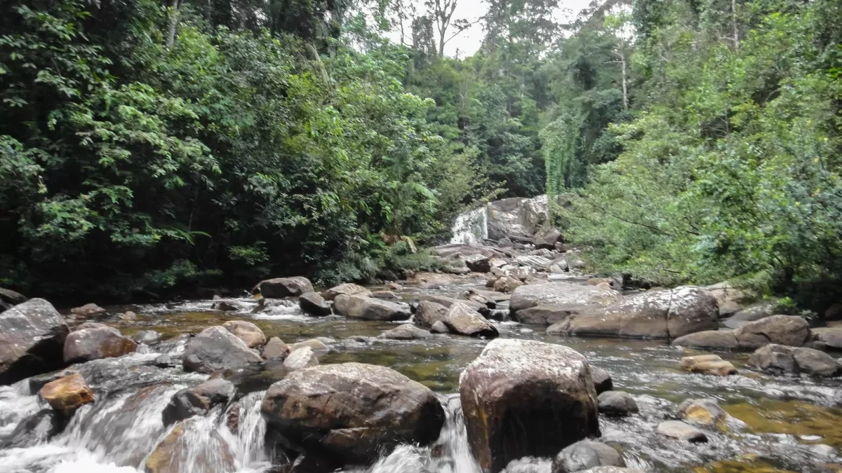 sri-lanka-natureza