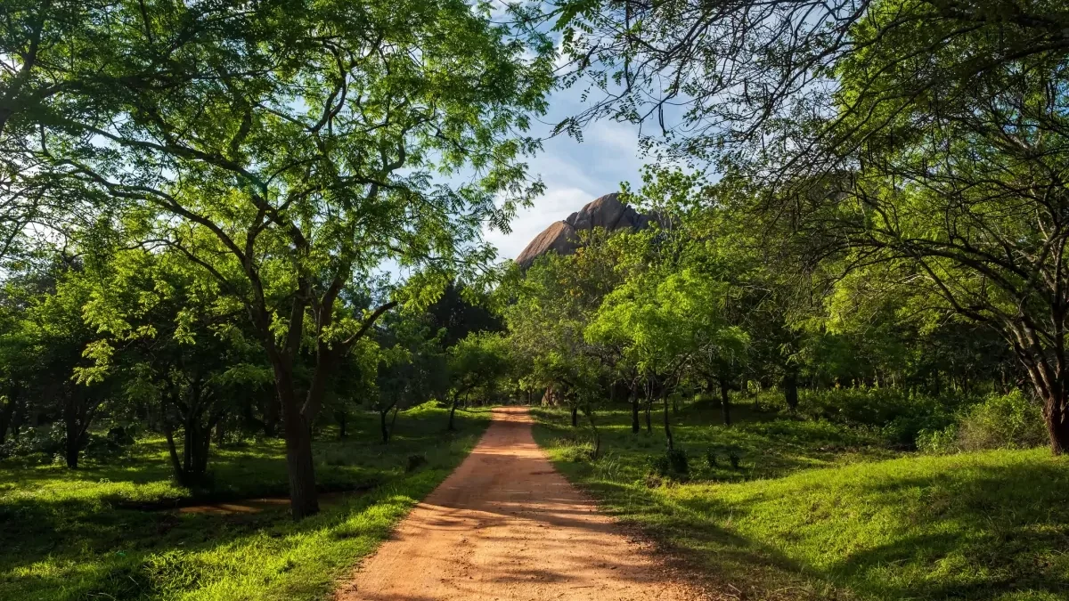 sri-lanka-trilhas