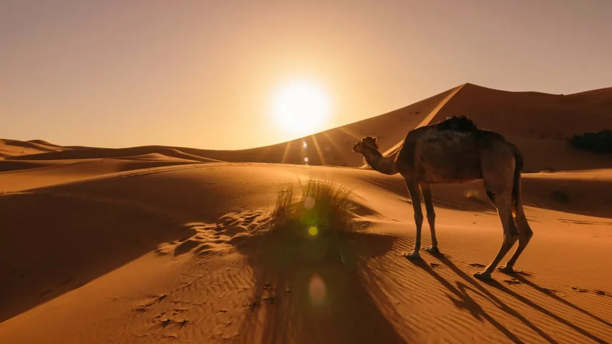 dunas-de-erg-chebbi-marrocos
