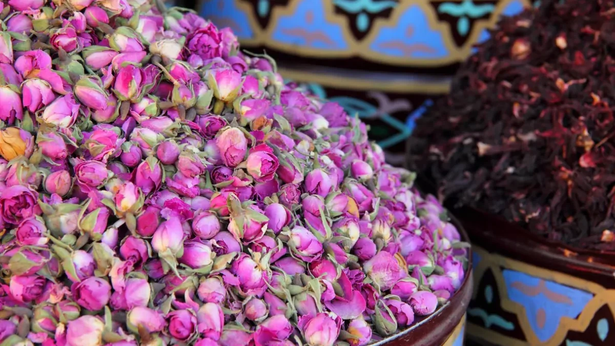 marrocos-rosas-de-damasco-secas