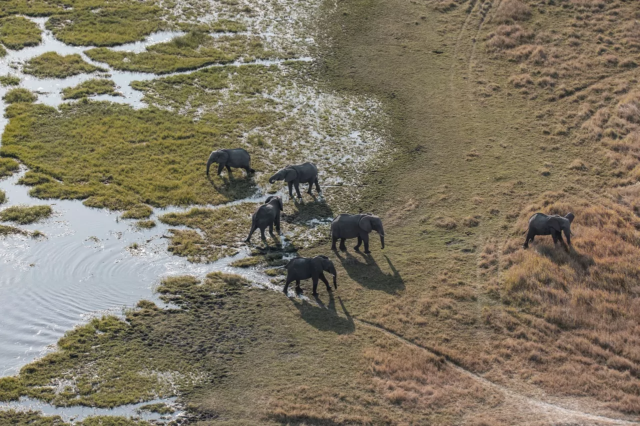 Okavango