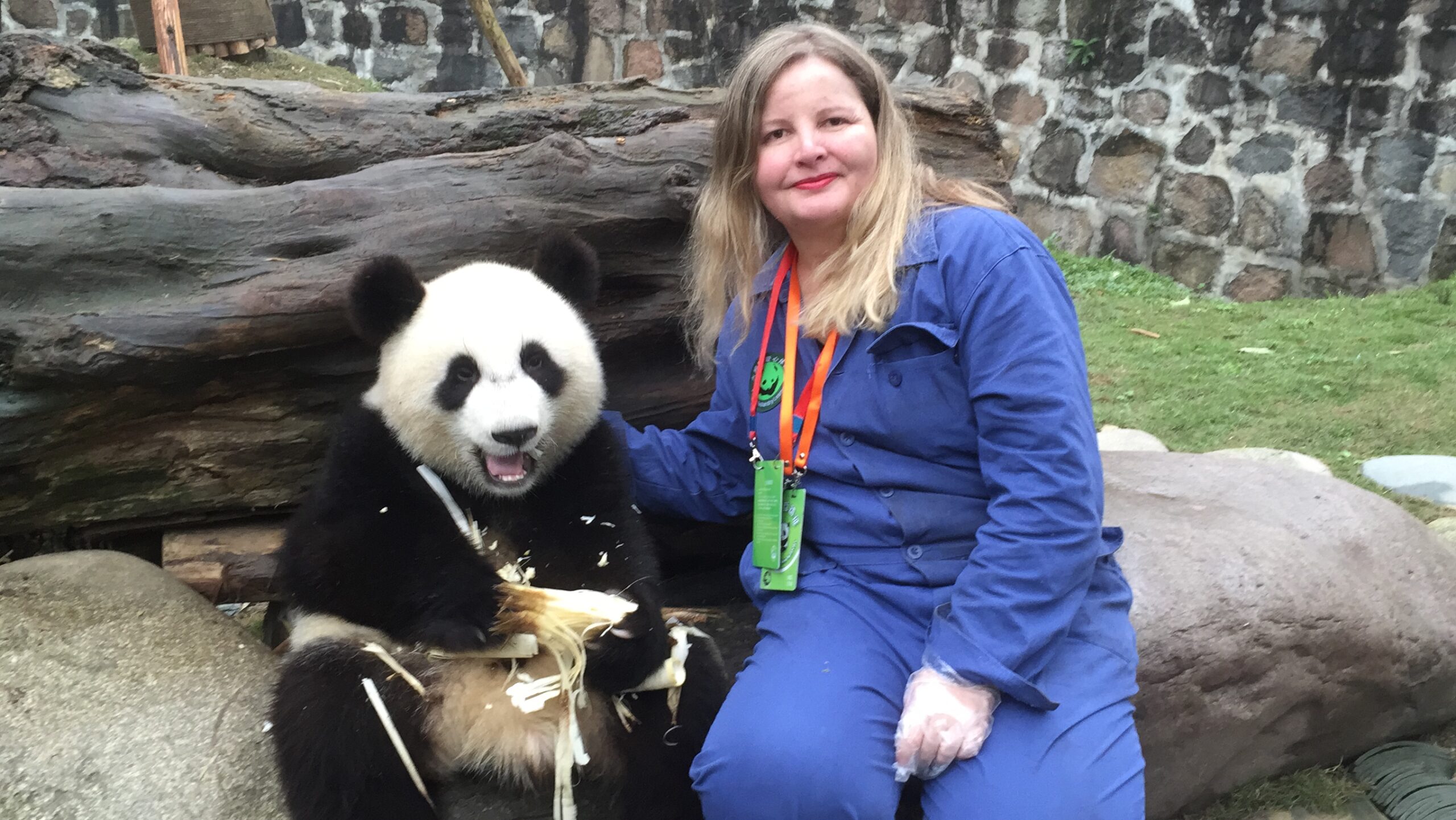 Liana com pandas na China
