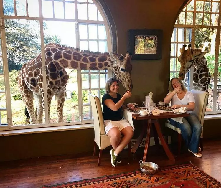 giovana-broccoli-girafa-cafe