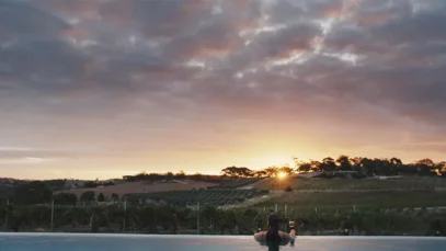 the-vines-barossa-valley Barossa Valley: as paisagens e sabores da uva shiraz