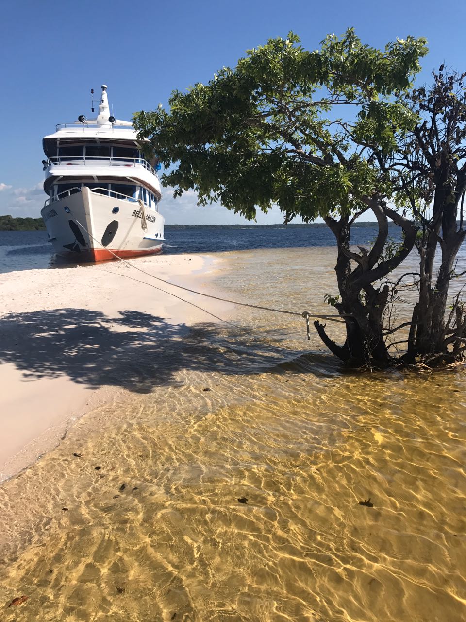 Navegação e Alter do Chão a bordo do Belle Amazon - Blog Terramundi