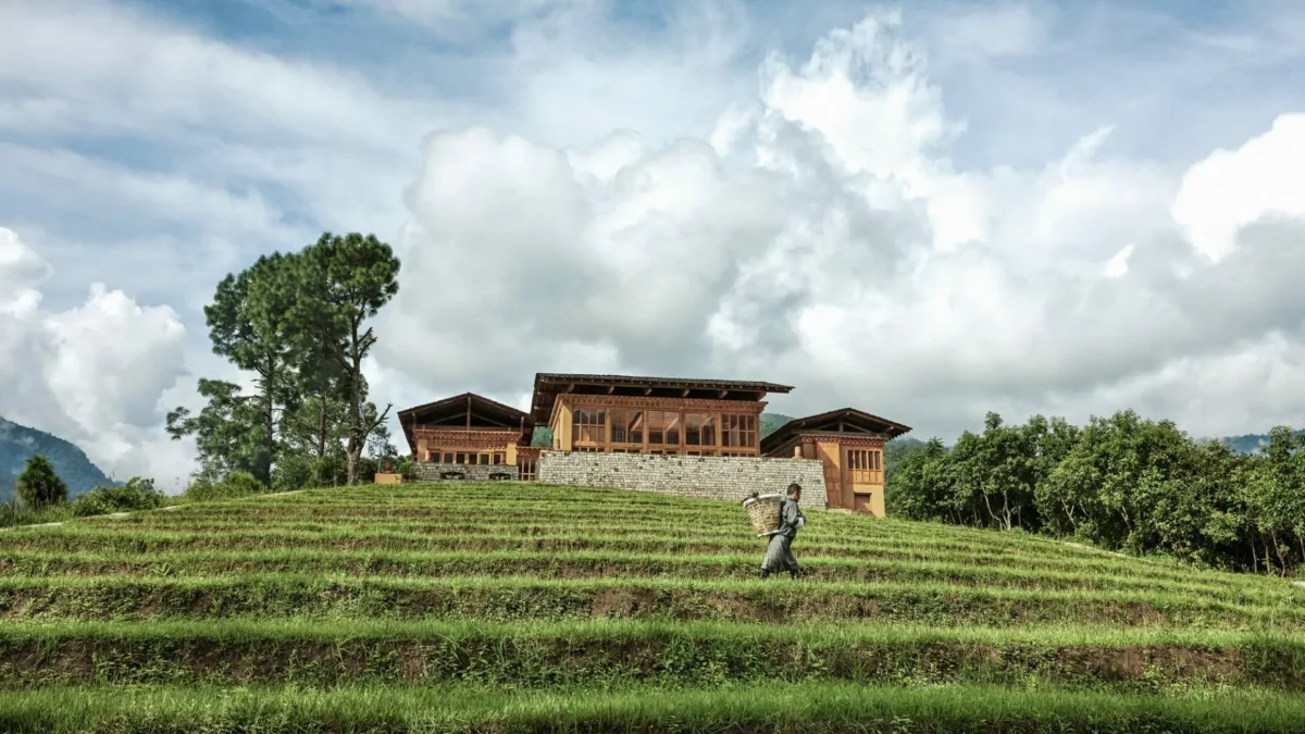 punakha-carbono-negativo