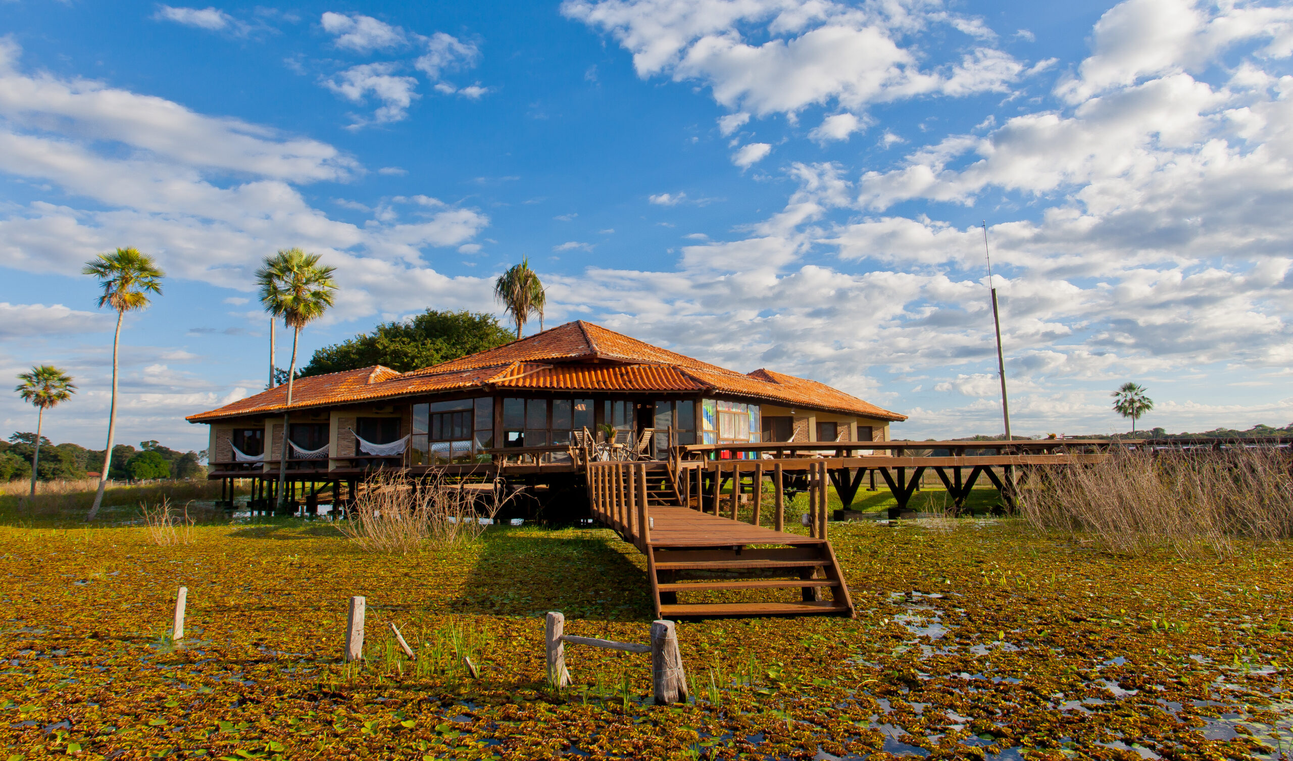 Caiman, um ecolodge no Pantanal.