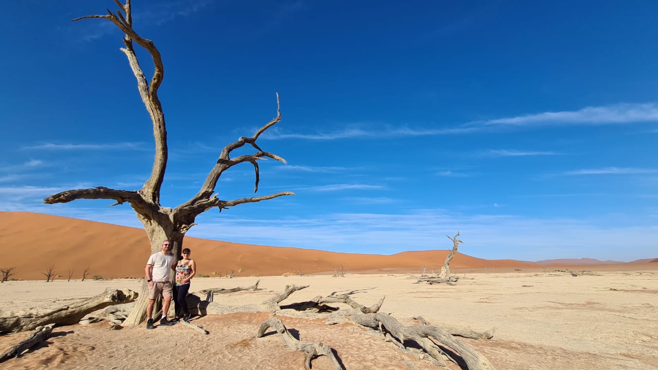 O que mudou nas viagens. Casal posa em frente a uma árvore seca, com galhos retorcidos, em meio ao deserto da Namíbia. Chão de areia alaranjada e céu completamente azul ao fundo.