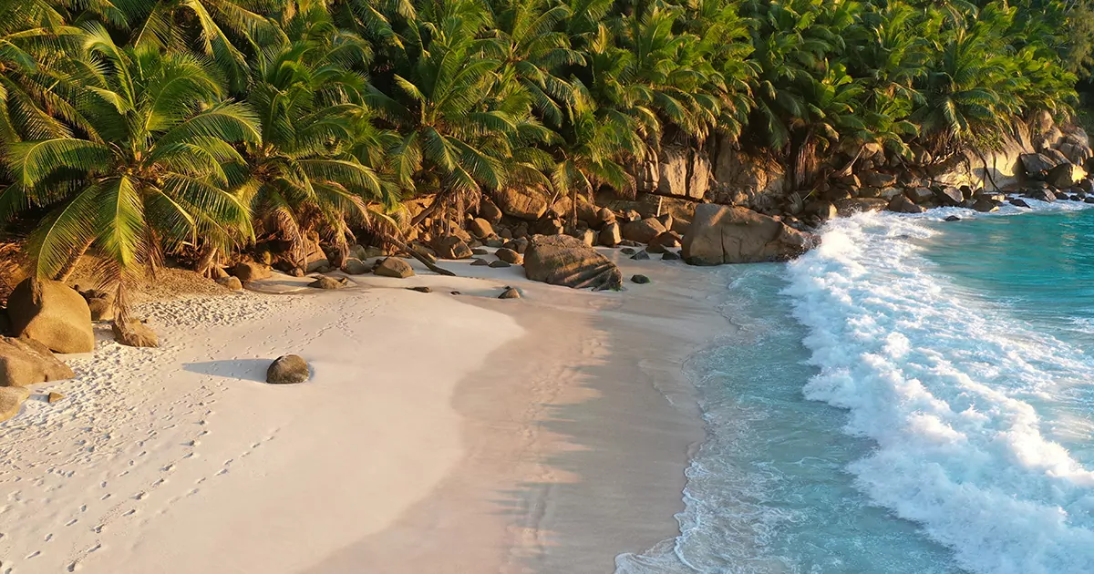 Foto de uma praia em um roteiro por Seychelles.