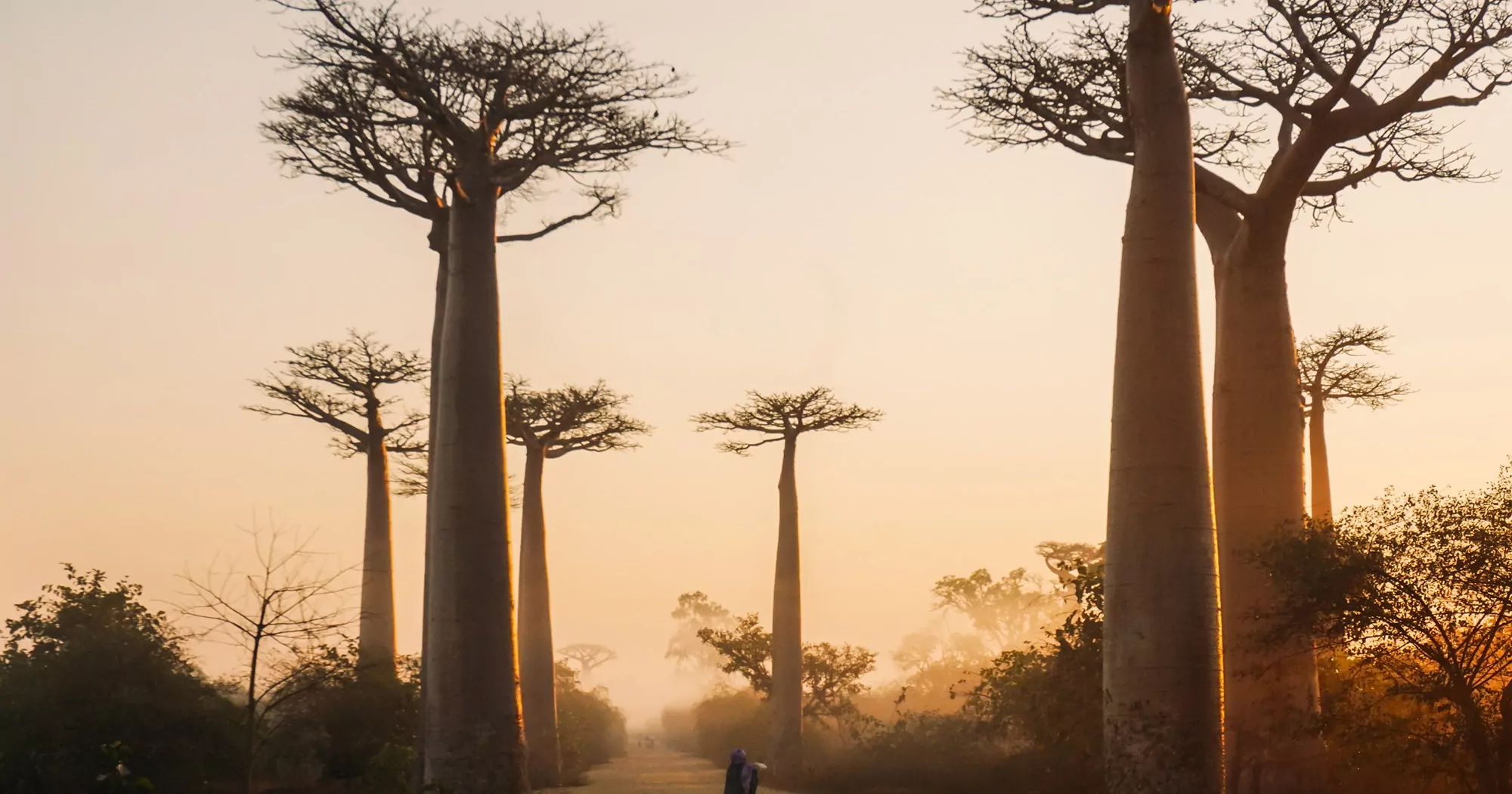 Roteiro em Madagascar.
