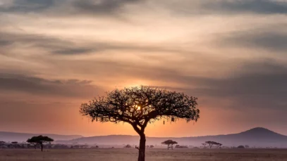viagem-tanzania Paisagem da Tanzânia