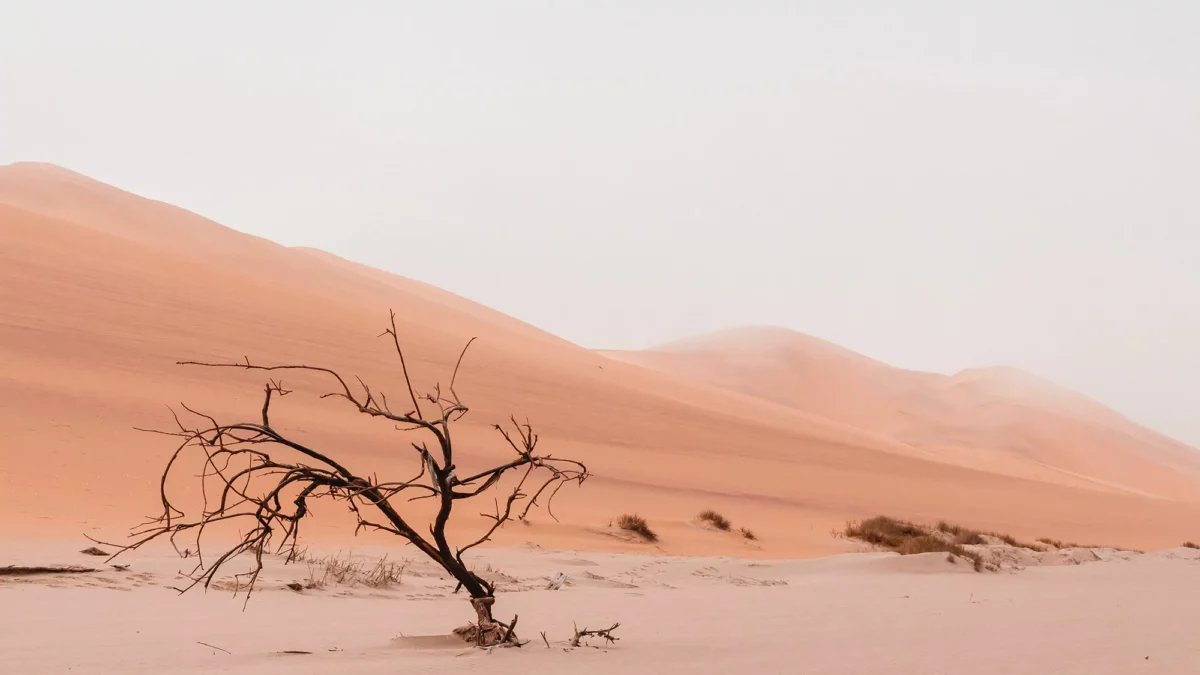 Desertos-namib Deserto da Namíbia