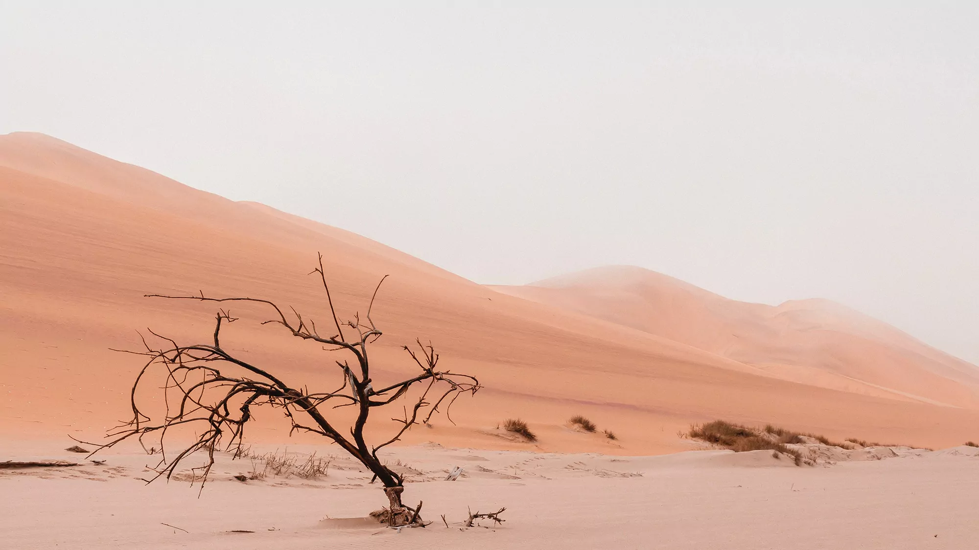 Deserto da Namíbia