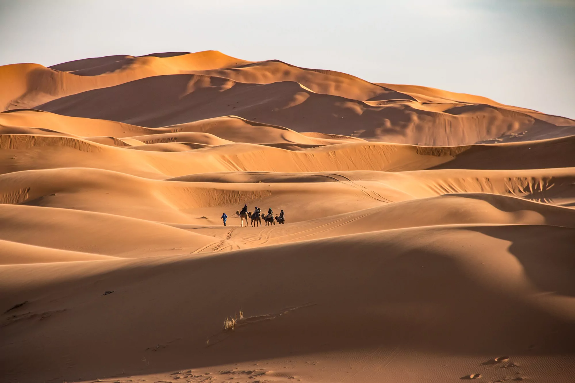 Deserto do Saara