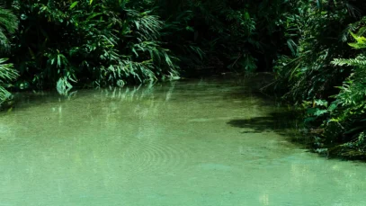 Jalapão - Paraíso Natural