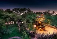 Ngala Tree house, lodge com incrível vista das estrelas
