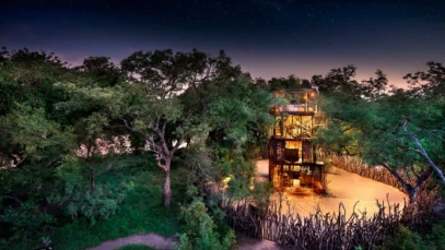 Ngala Tree house, lodge com incrível vista das estrelas Ngala Tree house, lodge com incrível vista das estrelas