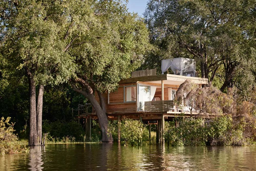 Star Bed Tree Houses, casa sob palafitas em meio à mata