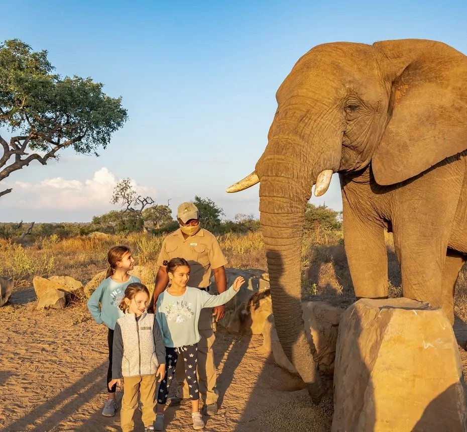 elefante e um guia com crianças próximas ao animal em area de savana