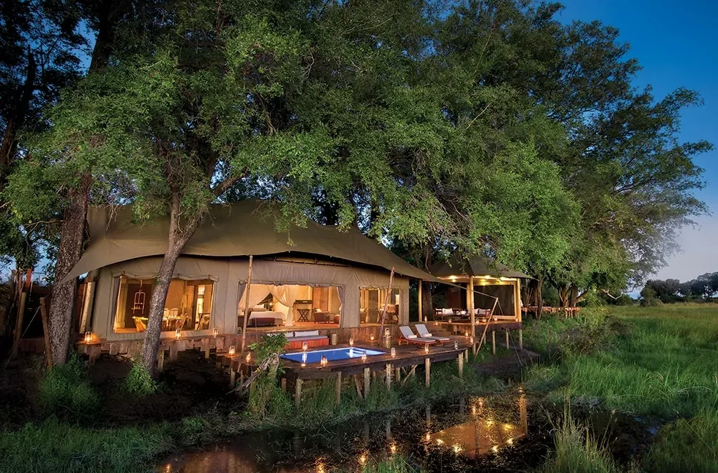 2021-GP-RoyalSafari-botswana-duba-plains