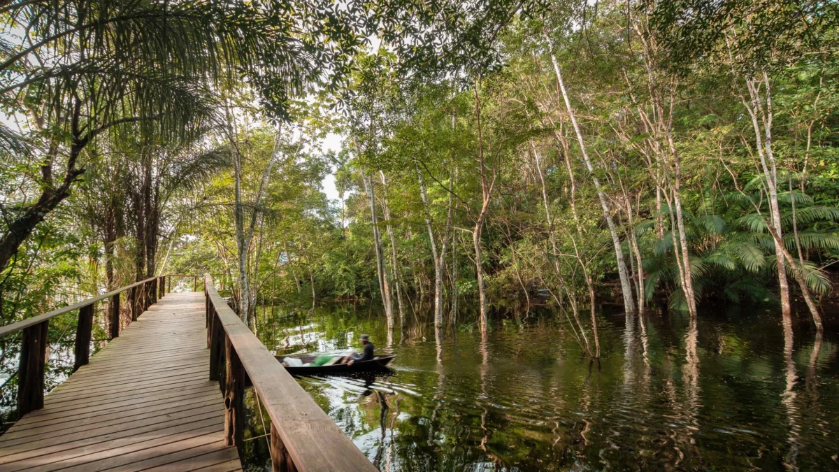 amazonia